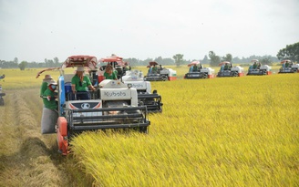 Nông nghiệp là trụ đỡ trong khủng hoảng