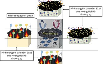 Bộ GD-ĐT sẽ xác minh tính liêm chính của cuộc thi nghiên cứu khoa học, kỹ thuật