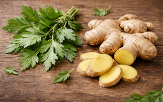 Bác sĩ: Cách làm túi chườm, ngải cứu kết hợp gừng ngâm chân giảm đau