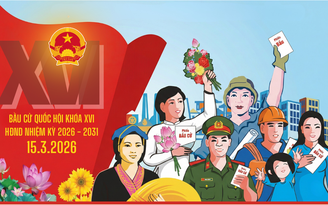 Những người nào gọi là cử tri, được đi bầu cử Quốc hội khóa XVI?