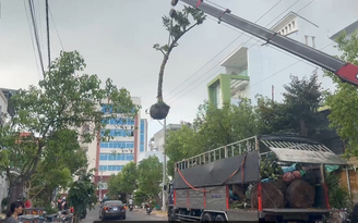 Lâm Đồng: Xe tải gắn cẩu va vào lưới điện 3 pha, tài xế tử vong