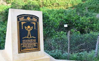 Nỗi niềm trà di sản: Shan tuyết Tà Xùa bình an giữa thiên đường mây