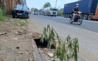 Mương thoát nước bị sụp nắp đậy