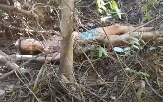 Mất tích 10 ngày, người phụ nữ được tìm thấy trong rừng sâu