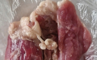 Phụ huynh Thái Nguyên 'tố' bữa ăn bán trú trường mầm non có thịt lợn bệnh