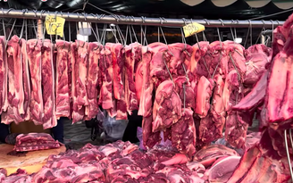 Giá heo hơi hôm nay 10.4.2026: Chững lại vì sức mua thấp