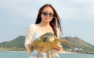 Du khách cùng thả rùa biển quý hiếm mắc 'lưới ma' về đại dương