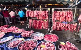 Giá heo hơi hôm nay 13.4.2026: Neo cao do chi phí đầu vào tăng