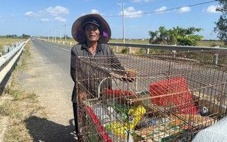 Cụ ông nhặt ve chai nuôi cả gia đình bệnh tật