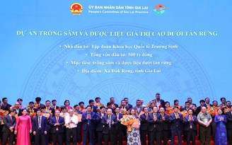 Hành trình nâng tầm Quốc bảo Sâm Việt: Bước tiến trong chuẩn hóa dược liệu Việt Nam