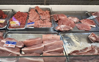 Giá heo hơi hôm nay 15.4.2026: Tiếp tục tăng nhẹ
