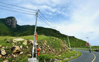 Những chú ong áo vàng cam chăm chỉ
