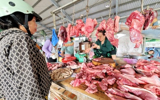 Giá heo hơi hôm nay 17.4.2026: Đồng loạt chững lại