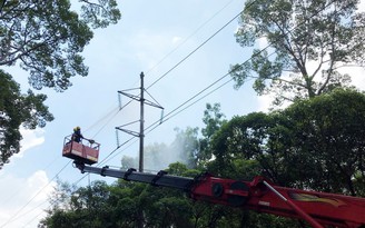 Lấp lánh ánh sáng cổ tích nhiệm màu của tuổi thơ tôi