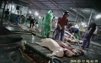 Hà Nội siết chặt kiểm soát chất lượng bữa ăn bán trú