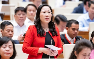 Đại biểu kiến nghị cấm xếp chương trình học liên kết xen kẽ giờ chính khóa