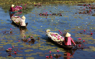 Ninh Bình có khách sạn quốc tế đầu tiên