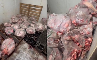 Phát hiện hơn nửa tấn thịt heo bốc mùi ở lò mổ trái phép
