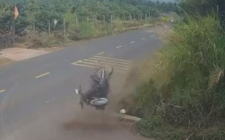 Vụ nam sinh lớp 12 tử vong ở Đắk Lắk: Đình chỉ cán bộ CSGT