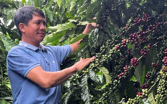 Một phần của ký ức
