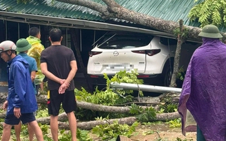 Mưa đá, gió lốc xảy ra nhiều nơi ở Thanh Hóa