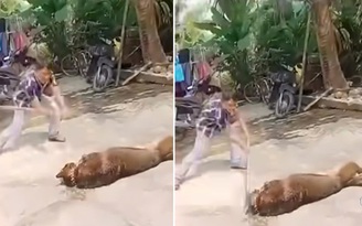 Cụ ông 83 tuổi tử vong thương tâm do bị chó béc giê nhà nuôi tấn công