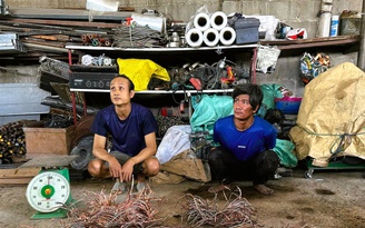Tạm giữ hình sự 2 nghi can vụ cắt trộm dây điện trên cao tốc