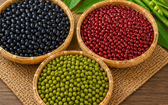 Đậu đen, đậu đỏ hay đậu xanh: Loại nào tốt hơn cho sức khỏe?