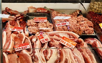 Giá heo hơi hôm nay 9.4.2026: Dự báo khởi sắc vào kỳ nghỉ lễ sắp đến
