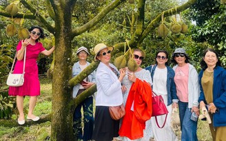 Thắng lớn nhờ bỏ lúa kém hiệu quả trồng sầu riêng làm du lịch