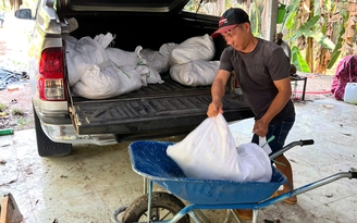 TP.HCM: Chặn xe bán tải, phát hiện 277 kg gà thối đưa đi tiêu thụ