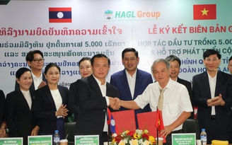 HAGL bắt tay tỉnh Champasak phát triển 5.000 ha cà phê