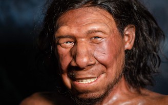 59.000 năm trước, người Neanderthal đã biết trị sâu răng?