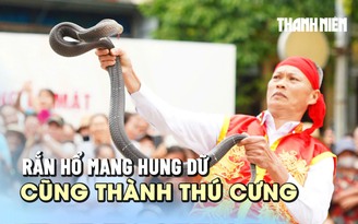 Múa rắn giữa sân đình, nghệ nhân 50 năm chưa từng bị cắn