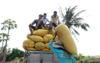 Mỹ dự báo Philippines nhập khẩu gạo kỷ lục tới 5,5 triệu tấn