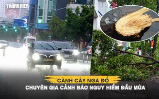TP.HCM mưa lớn 2 ngày liên tiếp: Cành cây ngã đổ, chuyên gia cảnh báo nguy hiểm đầu mùa