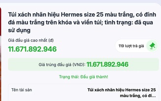 Đấu giá thành 2 túi HERMES của bà Trương Mỹ Lan