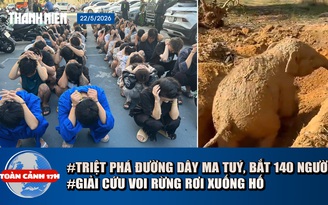 Toàn cảnh 17h: Triệt phá đường dây ma tuý, bắt 140 người | Cận cảnh giải cứu voi rừng rơi xuống hố