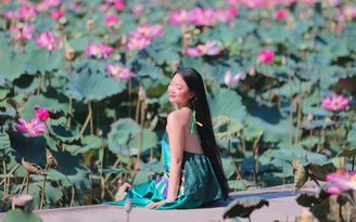Thiếu nữ diện cổ phục, áo yếm thả dáng bên hồ sen rộng 1 ha đẹp như tranh