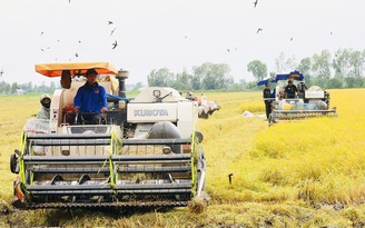 ĐBSCL đang đối diện với nhiều nghịch lý phát triển