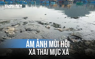 Rùng mình nước thải đen đặc 'bức tử' đầm Đề Gi: Ám ảnh mùi hôi mực xà