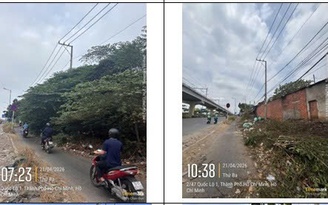 Đã hỗ trợ cắt tỉa cây xanh sà ra đường
