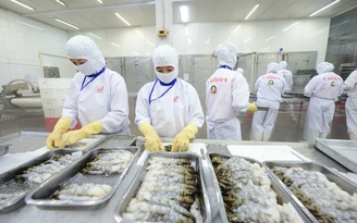 Xuất khẩu thủy sản có thể đạt kim ngạch 12 tỉ USD trong năm nay
