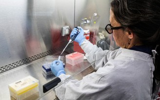 3 tiểu bang Mỹ theo dõi người về từ du thuyền có dịch virus hanta