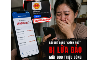 Tài khoản 'bốc hơi' gần 1 tỉ đồng vì bị lừa đảo cài ứng dụng 'Chính phủ'