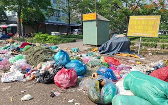 Đổ rác tràn lan dưới biển cấm