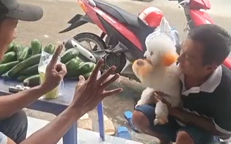 Chó biết làm toán hút triệu view: Khách tìm đến tận nơi để kiểm chứng