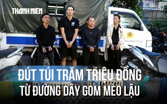 Mỗi ngày gom 50 kg mèo lậu, đút túi hàng trăm triệu đồng chỉ sau vài tháng