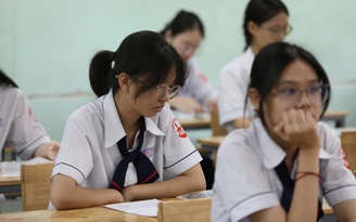 Tranh luận từ đề văn 'Steve Jobs Việt Nam' nảy sinh từ đâu?