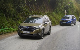 Subaru Forester tại Việt Nam không dính lỗi như thị trường Mỹ